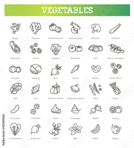 Basic vegetables thin line icon set