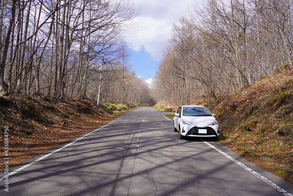 Fototapeta premium 山道の路肩に止まっている自動車