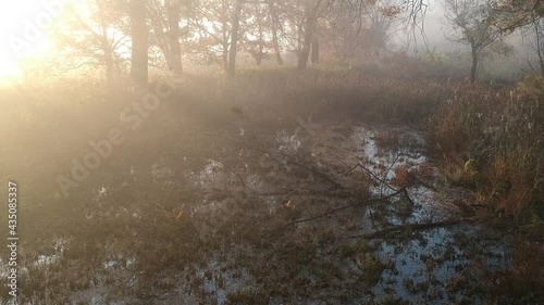 flight over the morning mystical swamp in the fog at dawn