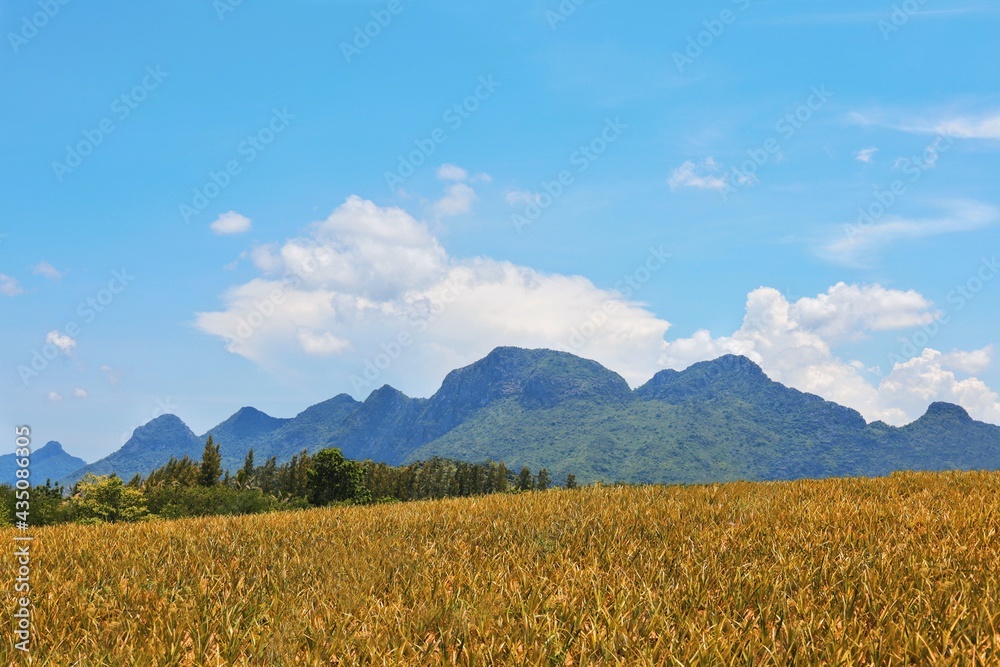 Obraz premium landscape with mountains and clouds