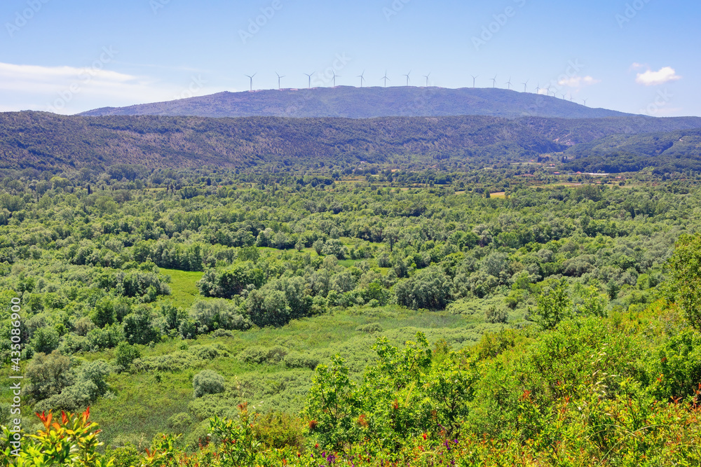 Beautiful green sunny summer landscape. Montenegro, Ulcinj. View of the surroundings of Lake Shas well-known as a birdwatching area. Windmills on the hill