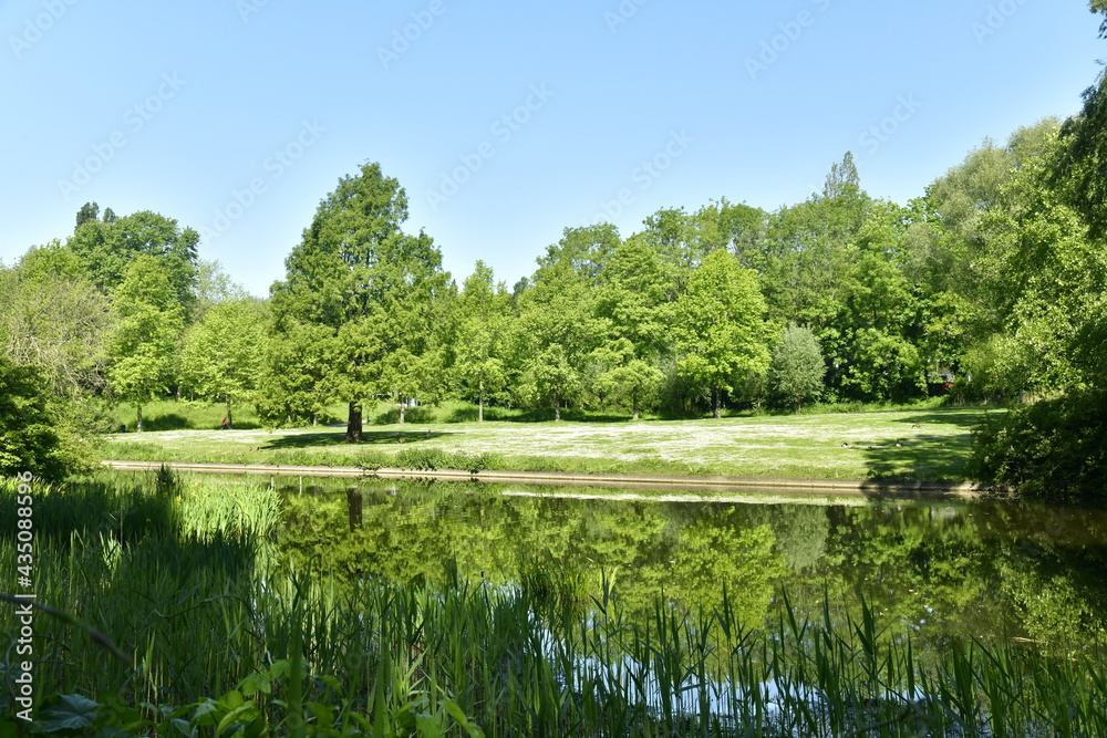 Feuillage des arbres se reflétant dans un étang étroit au parc Roi Baudoin à Jette Feuillage des arbres se reflétant dans un étang étroit au parc Roi Baudoin à Jette