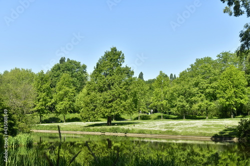 Feuillage des arbres se reflétant dans un étang étroit au parc Roi Baudoin à Jette