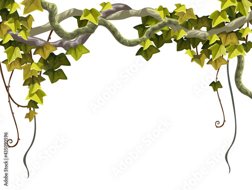 Ivy frame. Liana branches and tropical leaves. Game cartoon poster of creeper jungle. Isolated vector hedera  helix on white background.