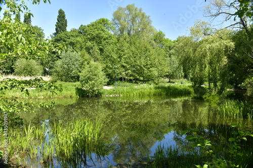 La végétation luxuriante au printemps autour d'un étang au parc Roi Baudoin à Jette 