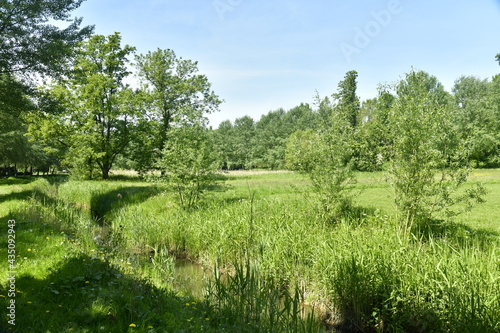 Le ruisseau Molembeek traversant la prairie principale du parc Roi Baudoin à Jette