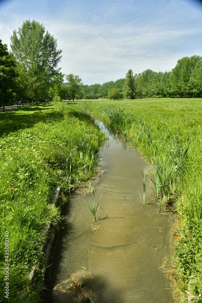Le ruisseau Molembeek traversant la prairie principale du parc Roi Baudoin à Jette