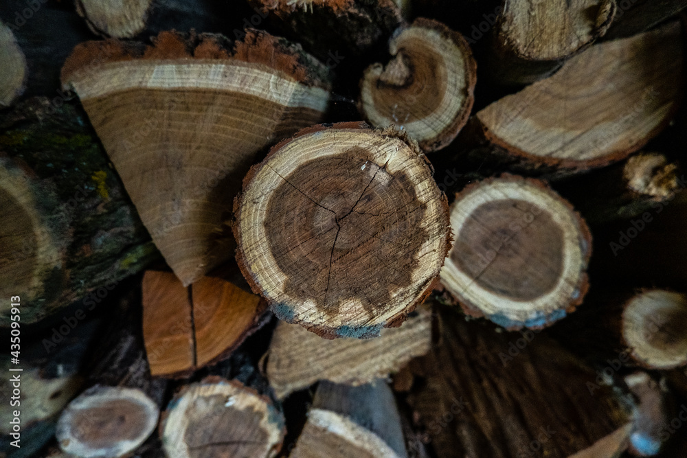 stack of logs stack of logs