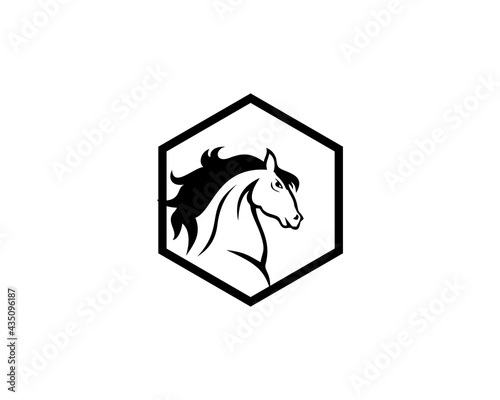 Hexagon head horse vector