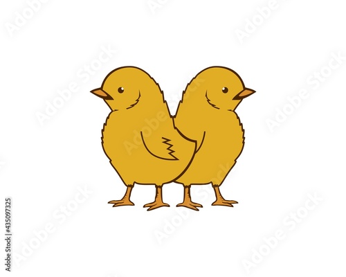 two cute chick vector
