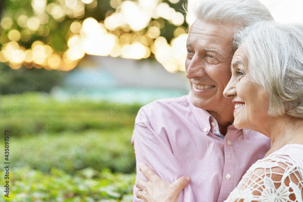 smiling senior couple  embracing   in autumn  park