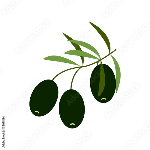 Black olives on a branch, healthy food, vector clipart in flat style, isolate on white.