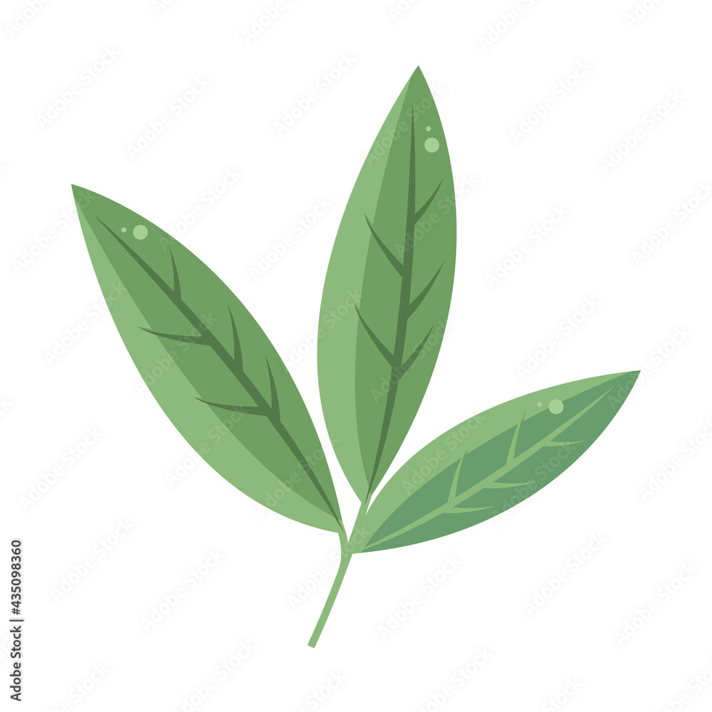 leaves foliage vegetation leaves foliage vegetation