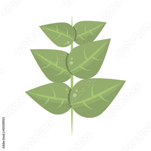 leaves stem herbs