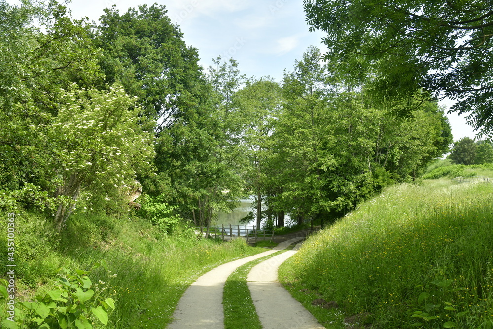 Chemin en gravier avec bande de pelouse centrale à la sortie du parc Neerpede à Anderlecht 