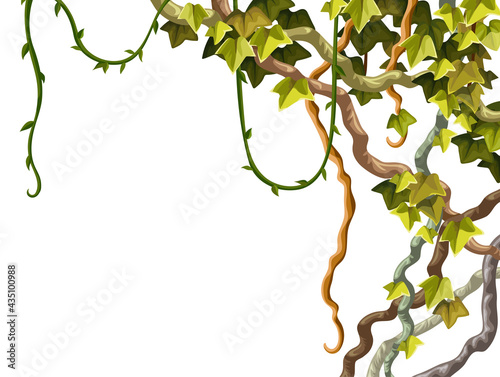 Ivy frame. Liana branches and tropical leaves. Game cartoon poster of creeper jungle. Isolated vector hedera  helix on white background.