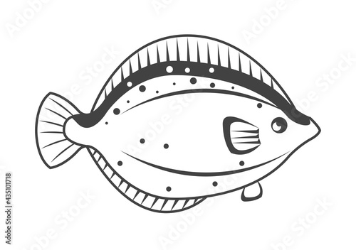 fish animal sketch