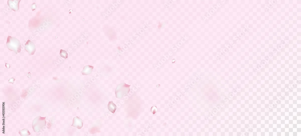 Cherry Sakura Petals Confetti. Windy Leaves Confetti Design. Female