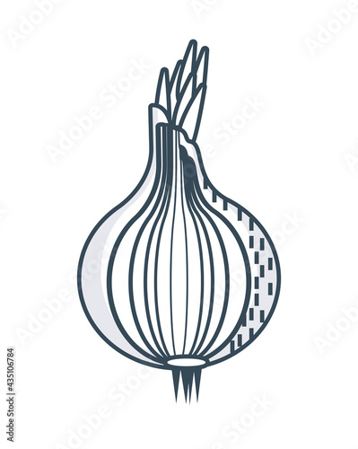 onion sketch icon
