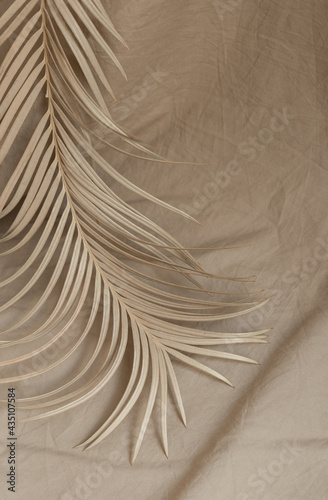 dry palm branch fabric background beige decor