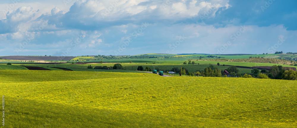 Fototapeta premium Spring evening view with rapeseed yellow blooming fields in sunlight with cloud shadows.