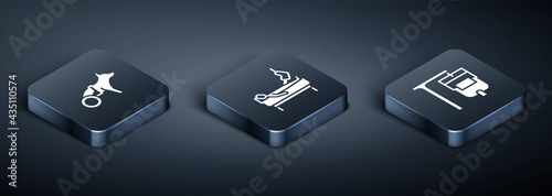 Set Isometric Dog in wheelchair, IV bag and Patient with broken leg icon. Vector