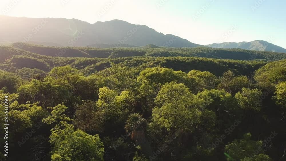 Aerial view mountains of Cordoba Argentina. View of mountains and trees for sale. FPV drone