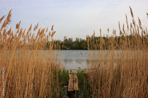fishing platform in the reeds on the lake