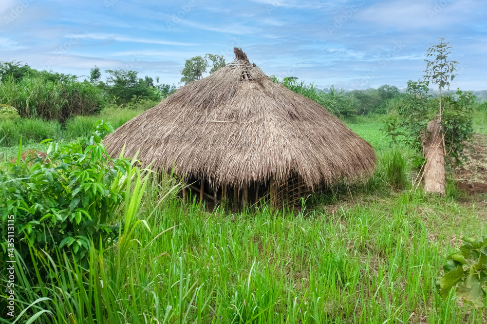Traditional village house in Uganda. Africa, Uganda Traditional village house in Uganda. Africa, Uganda