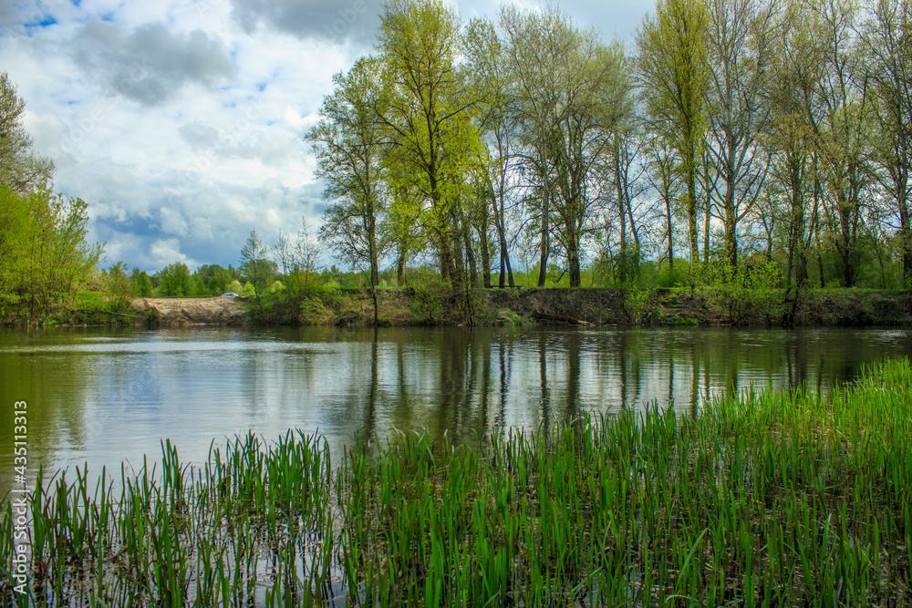 Fototapeta premium lansdcape with trees by the river in spring, Ukraine