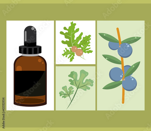 essential oil set