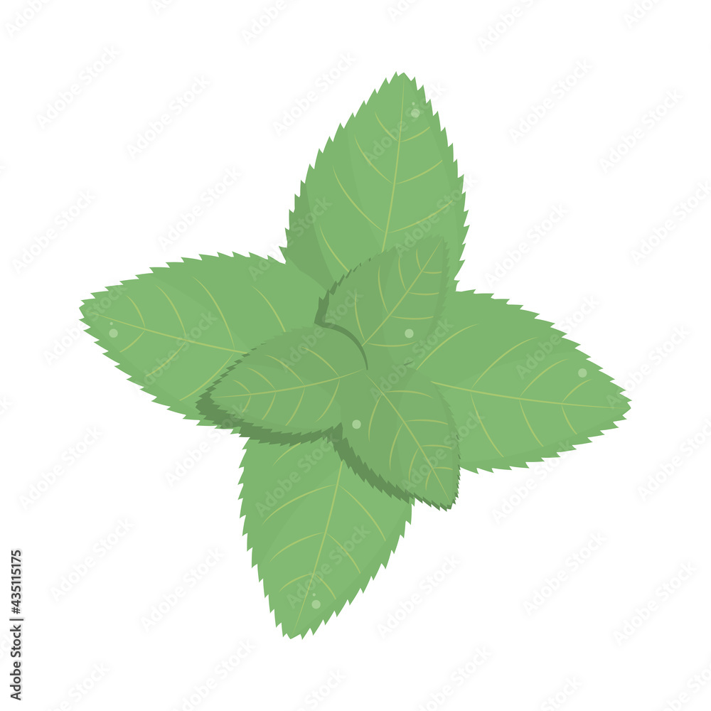 floral leaves botancial floral leaves botancial