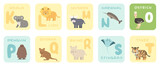Cute K-T alphabet cards with cartoon savannah African animals. Vector zoo illustrations. Koala, lion, Muskox, narwhal, ostrich, penguin, quokka, rhino, stingray, tiger. Flat style