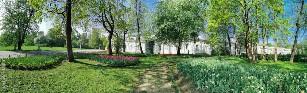 Flower beds with tulips on a sunny spring day among the trees on the background of pavion. The festival of tulips on Elagin Island in St. Petersburg.