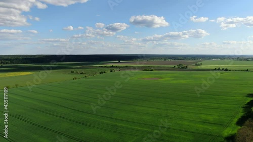 Wallpaper Mural Beautiful green field from above Torontodigital.ca