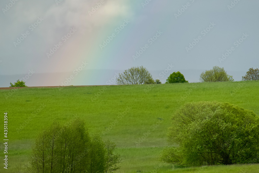 Fototapeta premium Meadow with a colorful rainbow in a slight haze