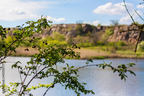 Beautiful view of the pond on a sunny day through the branches of a tree. The branches spread out. Natural natural background.Beautiful view of the river. spring day,