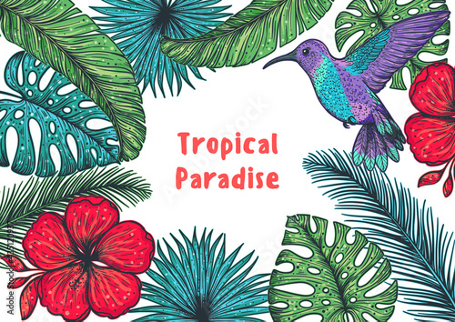 Tropical design template. Hello summer frame. Hummingbird, palm leaves and flowers vector illustration. Summer design.