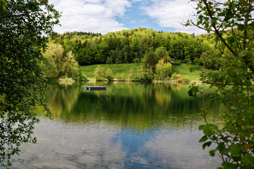 bichelsee in spring at noon, photographed from the shore overlooking the lake, empty swimming platform in front of a beautiful green forest, seabirds find their nesting places here