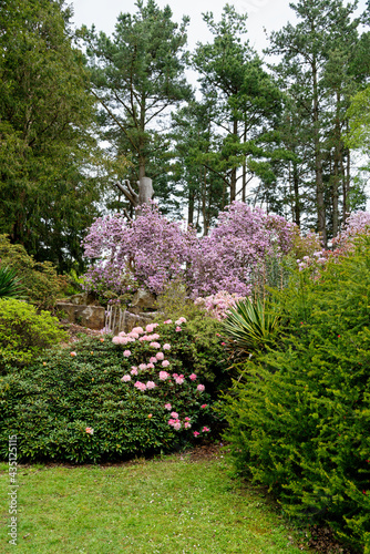 Fototapeta Naklejka Na Ścianę i Meble -  Spring in the grounds of Exbury gardens