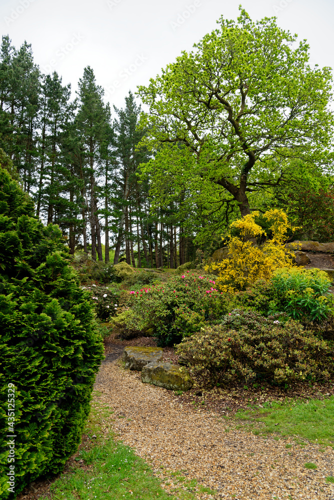 Spring in the grounds of Exbury gardens Spring in the grounds of Exbury gardens