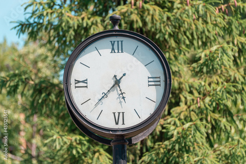 Vintage street clock on the background of trees in the park.