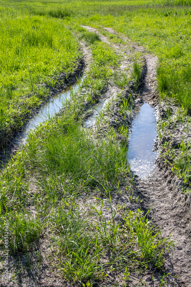 Country road, wheel rut, off-road, puddles Country road, wheel rut, off-road, puddles