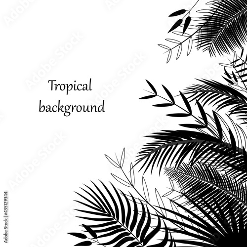 Tropical background with palm leaves. Corner, border of silhouettes of exotic tropical branches and foliage. Jungle, hawaii pattern in black. Poster template with place for text. Vector illustration © Lyudmyla