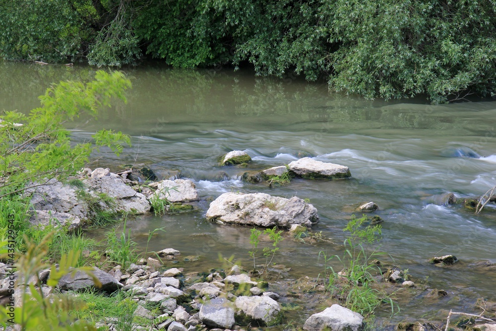Kamchia River in the vicinity of the village of Staro-Oryakhovo (Bulgaria) Kamchia River in the vicinity of the village of Staro-Oryakhovo (Bulgaria)