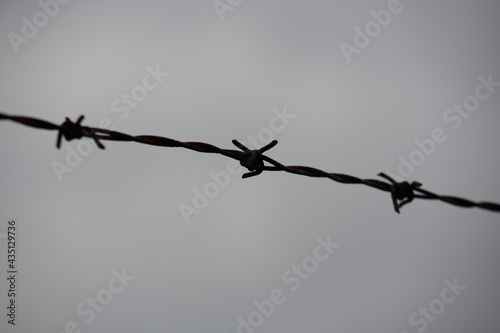 barbed wire fence