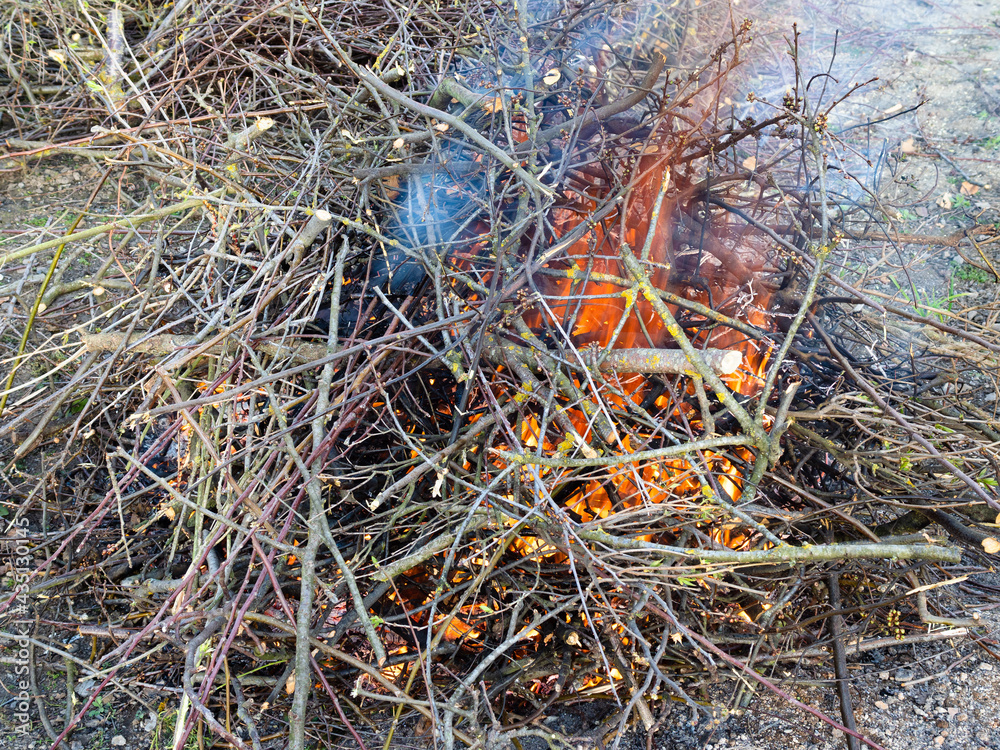 freshly pruned branches are burning outdoors freshly pruned branches are burning outdoors