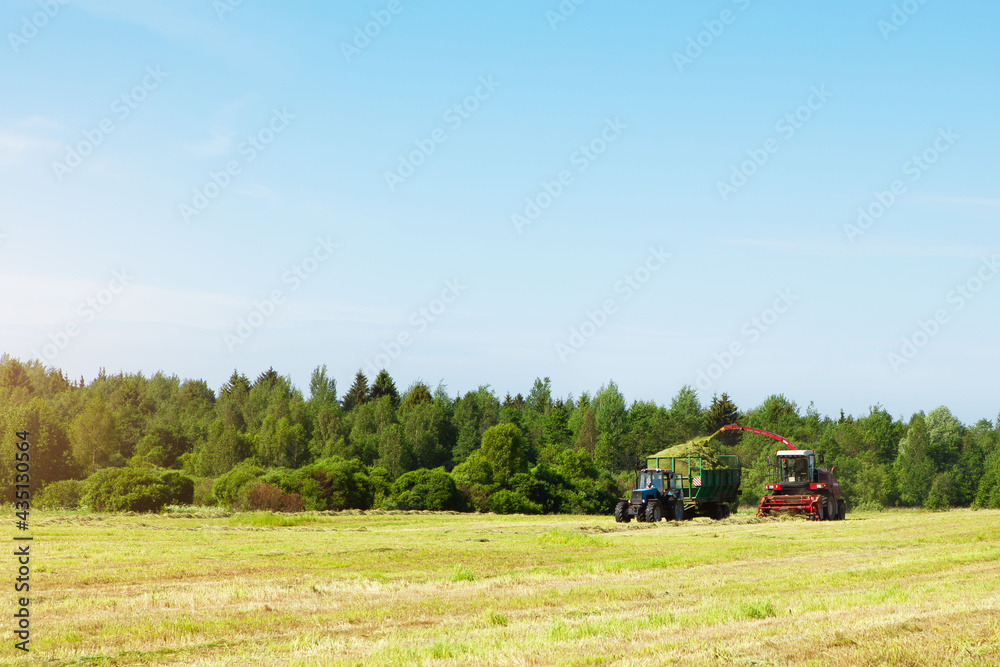 Obraz premium Hay harvesting in the field.