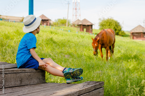 boy sits on the steps and watches a horse in the countryside