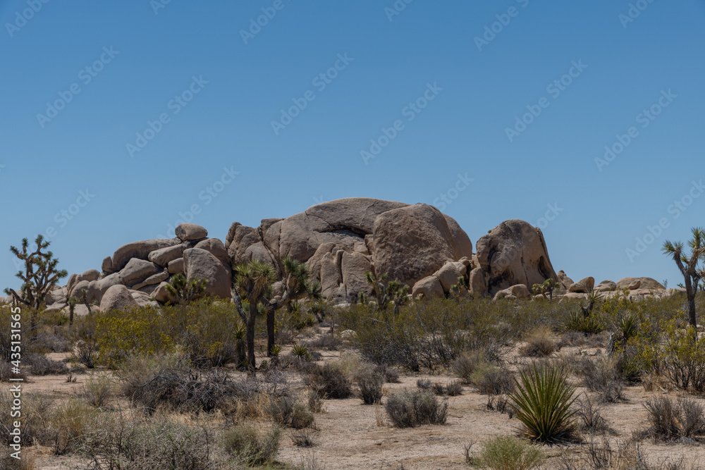 Scenic rock formation at the Joshua Tree National Park, Southern California Scenic rock formation at the Joshua Tree National Park, Southern California